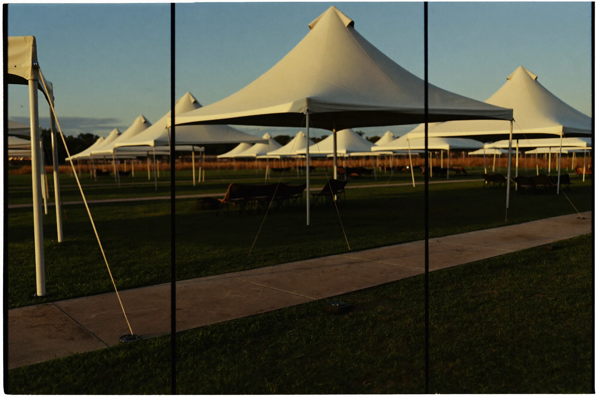Rows of white event tents at golden hour.